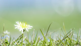 死んでいった友が、言い残した事